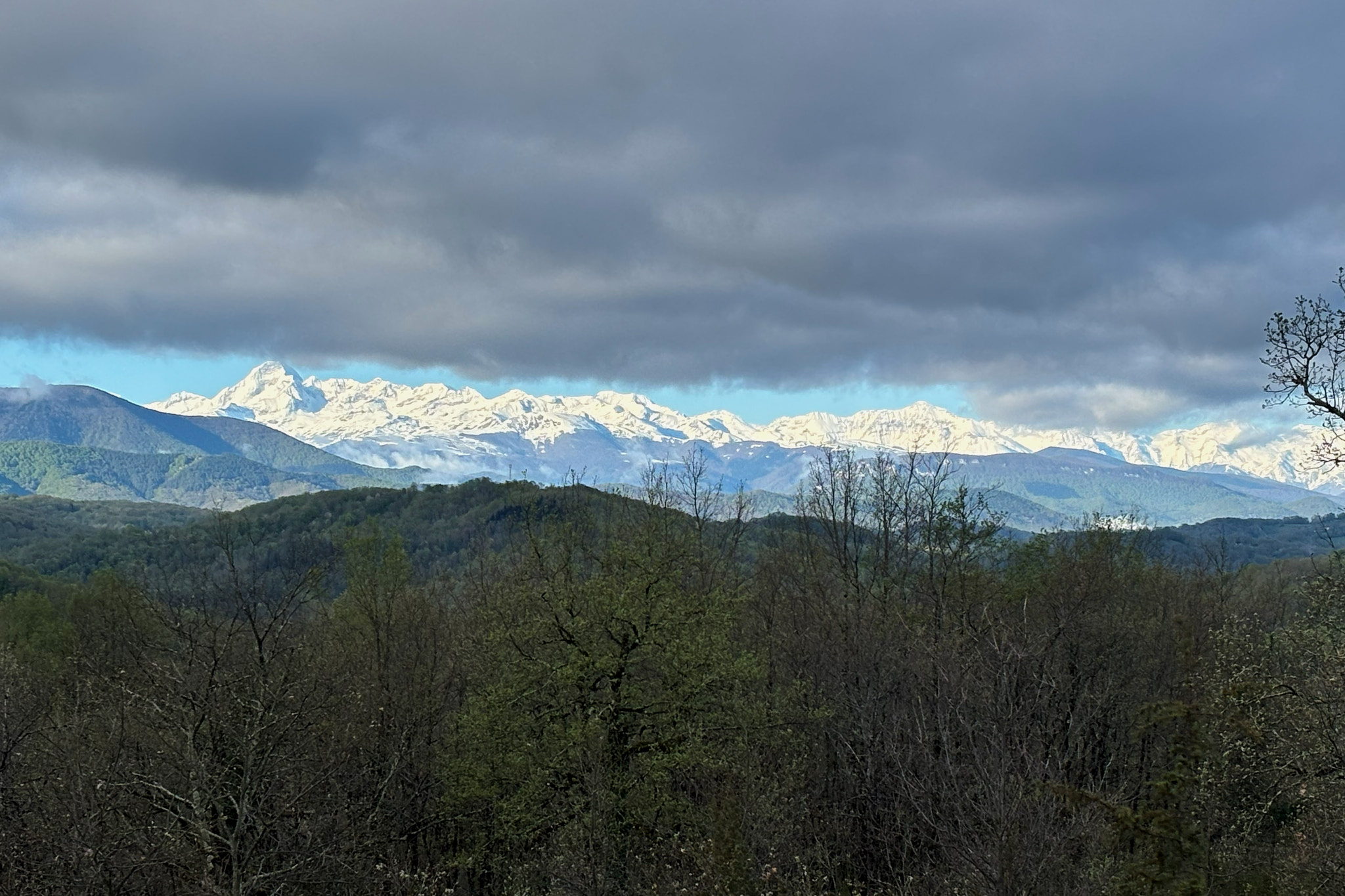 IMG 9993