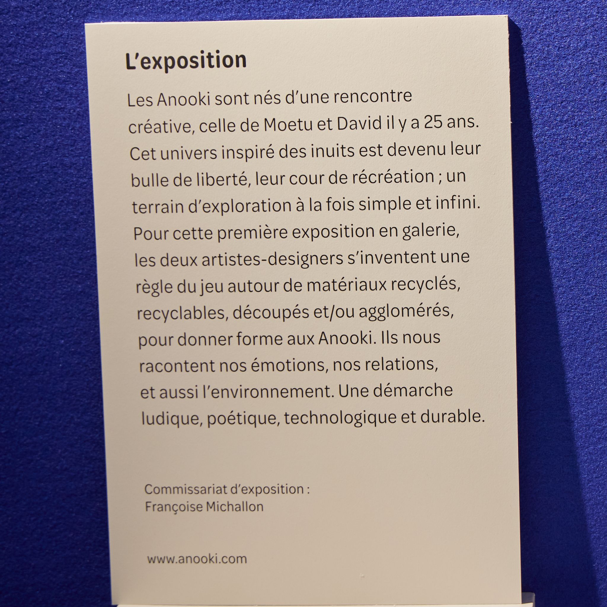 Les Anokis  Expo éphémère